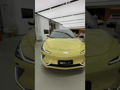 المصنع الفاخر للشخصية الكبيرة سيارة كهربائية سيارة كهربائية بطارية LS7 سيارة كهربائية سيارة جديدة