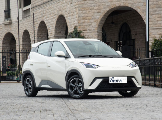 السعر الجيد مصنع السيارات التنافسية 2WD BYD EV سيارة طائر البحر 4 مقعد مركبة طاقة جديدة نقية سيارة ميني EV