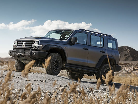 الحالة الجيدة النسخة الجديدة 3.0T الخزان 300 SUV 4WD الهجينة EV البنزين سيارة جديدة